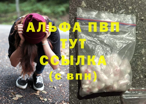 ешки Алексин