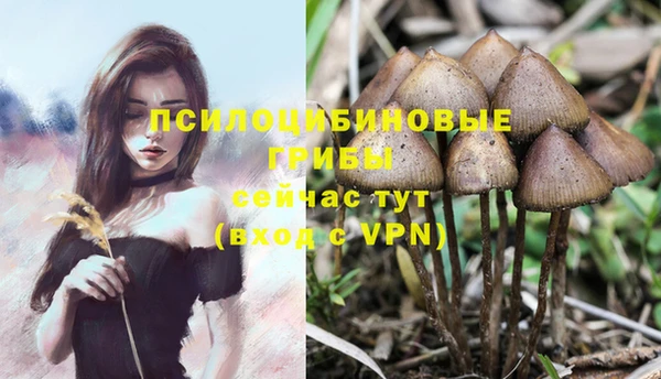 ешки Алексин